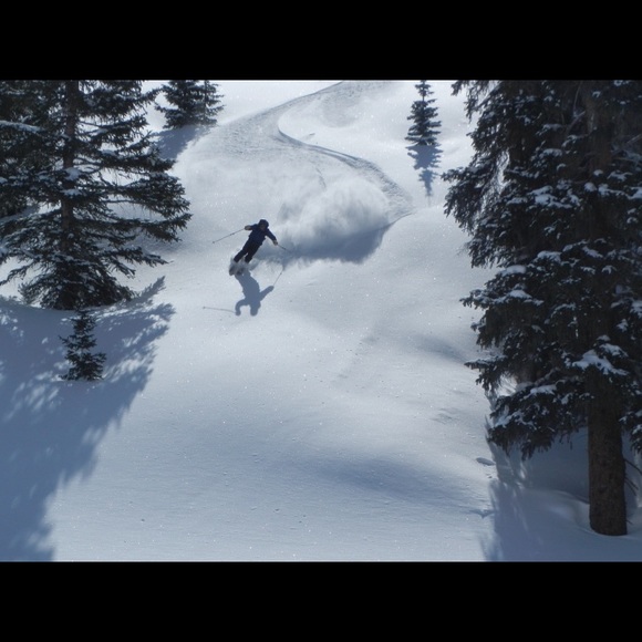 Meet your Posher, Ian - Picture 1 of 1